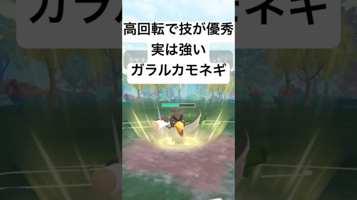 『ポケモンGO』技が意表をつくガラルカモネギ【闘争心カップ】#ポケモン #ポケモンgo #gbl #pokemongo #pokemon #ゲーム #ゲーム実況 #shorts #short