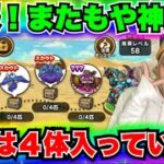 【ドラクエウォーク】シャルマナ神地図きたぞ！無課金ギャル勇者がいく！