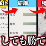 【メメントモリ】ルーン強化も研磨も頑張ったのに11-24を突破できない俺を助けてくれ