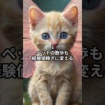 主夫勇者のドラクエウォークあるある６選！その１２ #Shorts #猫 #ドラクエウォーク #あるある