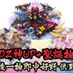 【パズドラ】【PAD】PADZ神UP＋聖誕抽蛋 片後一抽即中好野 パズドラＺゴッドフェス&クリスマスガチャ 究極生命体一体狙