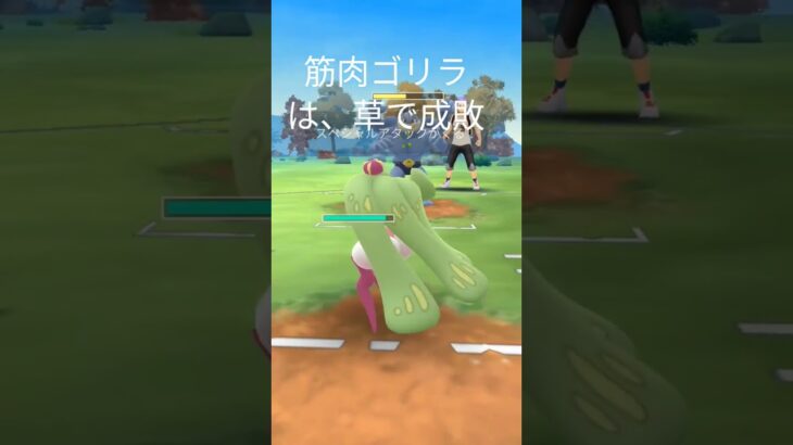 ポケモンＧＯーーー