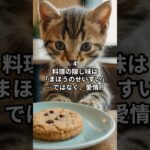 主夫勇者のドラクエウォークあるある６選！その１６ #Shorts #猫 #ドラクエウォーク #あるある