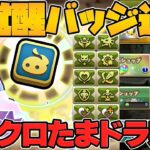 新バッジ！シンクロたまドラ！コインダンジョン！Ver21.9アップデート情報解説！【パズドラ】