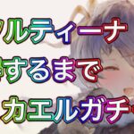 【メメントモリ】冬ソルティーナガチャ＆ミカエルガチャ100%確定まで【メメモリ】