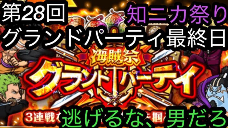 [トレクル]第28回グランドパーティー最終日！知ニカ祭りを制して６連覇なるか！？[OPTC][グランドパーティー]