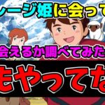 【ドラクエウォーク】誰もやってないコンテンツ。マイレージ姫に何日で会えるか調べてみた