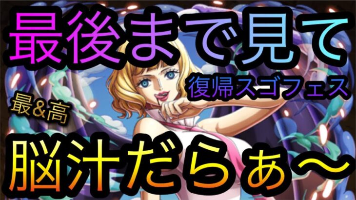 復帰トレジャースゴフェス！最後まで見て！脳汁だらぁ〜！［OPTC］［トレクル］［ONE PIECE　Treasure　Cruise］［원피스 트레져 크루즈］［ワンピース］