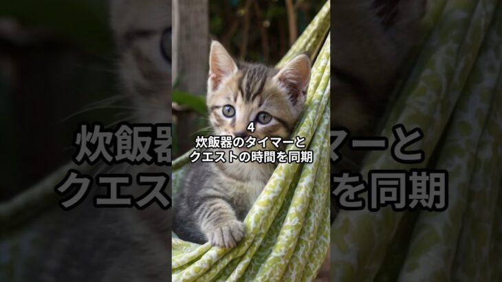 主夫勇者のドラクエウォークあるある６選！その９ #Shorts #猫 #ドラクエウォーク #あるある