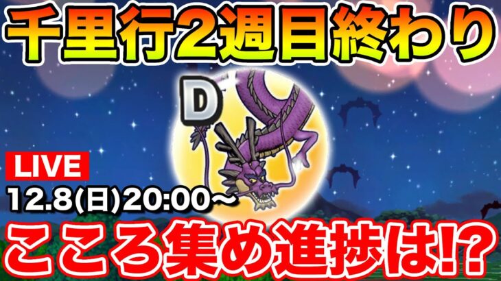 【ドラクエウォーク】千里行2週目お疲れ様でした!! 今日は百式やっていくぞ～!!【DQW】