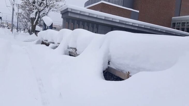 岩見沢 ドカ雪ウォーク!! ドラクエウォークw