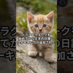 主夫勇者のドラクエウォークあるある６選！その１７ #Shorts #猫 #ドラクエウォーク #あるある