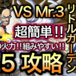 【トレクル】大航海 リトルガーデン Lv.5 攻略 VS Mr.3 Grand Voyage Little Garden Level 5【OPTC】【One Piece】