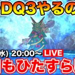 【ドラクエウォーク】DQ3をいつやるか考えてるけど、とりあえずレベリング!!【DQW】