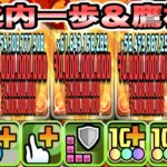 【パズドラ】幕之内一歩＆鷹村守！一撃９００億！一歩＆鷹村×カレン＆紅蓮聖天八極式！マルド・ギール・タルタロス降臨！