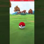 ポケモンGOで、コリンクの色違い✨が出た   やったーー嬉しい