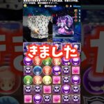 【間抜け】相性が悪いパーティ編成 #たかし #パズドラ