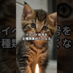 主夫勇者のドラクエウォークあるある７選！その２６ #Shorts #猫 #ドラクエウォーク #あるある