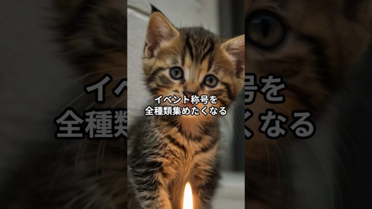 主夫勇者のドラクエウォークあるある７選！その２６ #Shorts #猫 #ドラクエウォーク #あるある