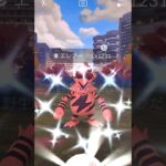 【ポケモンGO】色違いエレブーGET【ワイルドエリア】＃shorts