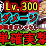 [トレクル]海賊王への軌跡VSオロチ＆カン十郎! Lv.300想定! 確実に仕留める無限ダメージ編成! 自陣●●限定ガシャキャラなし簡単編成[OPTC]