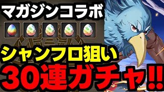 【ガチャ動画】シャンフロキャラ狙いで30連ガチャ！マガジンコラボコンプ目指して引くぞー【パズドラ】