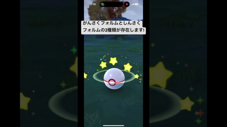 あなたのヤバチャは本物ですか?#ポケモンgo #pokemongo #しんさく #がんさく