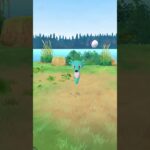 【ポケモンGO】野生のタッツー(いろちがい)を捕まえるシーン2024.12.07