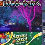 【ドラクエウォークLive】Xmasキャンペーンイベントと森林公園イルミネーションさんぽ