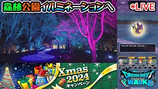 【ドラクエウォークLive】Xmasキャンペーンイベントと森林公園イルミネーションさんぽ