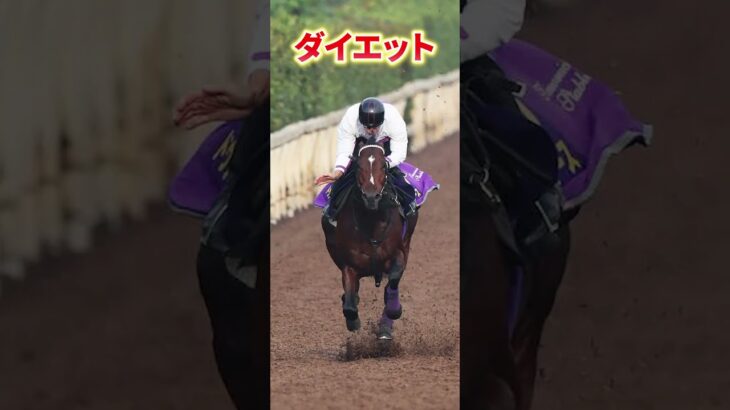 現役最強馬！ドウデュース！#おどう#有馬記念#ウマ娘まとめ