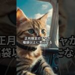 主夫勇者のドラクエウォークあるある７選！その３８ #Shorts #猫 #ドラクエウォーク #あるある