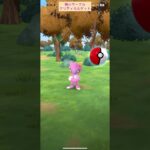 【難易度低】色違いニューラ極小サークルクリティカルゲット【ポケモンGO】