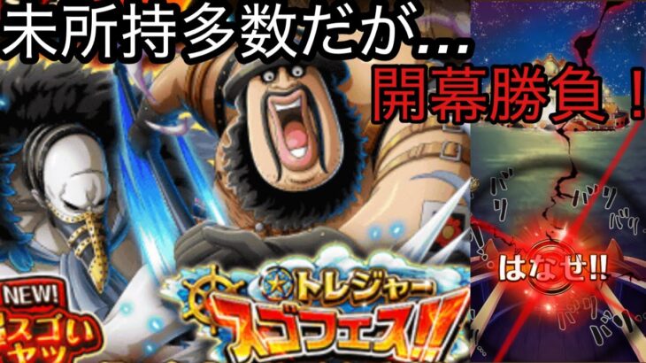 [トレクル]トレジャースゴフェス第一弾！楽がしたいから開幕勝負！[OPTC][トレジャーマップ]