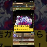 【平凡パズドラ】広告ガチャ！ガンホーコラボキャラゲット！！