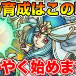 【ドラクエウォーク】ようやく本格的な大神官育成を始めます!!【DQW】