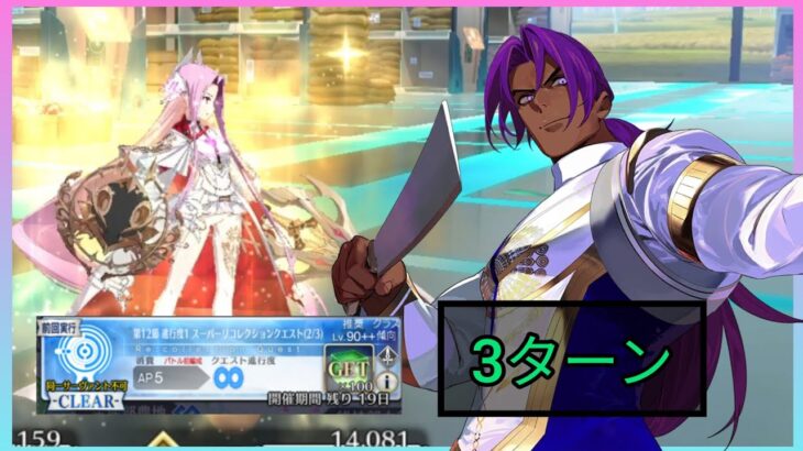 [FGO JP] Ordeal Call I – Super Recollection Quest: Medusa – 3 Turn Clear ft. Bhima