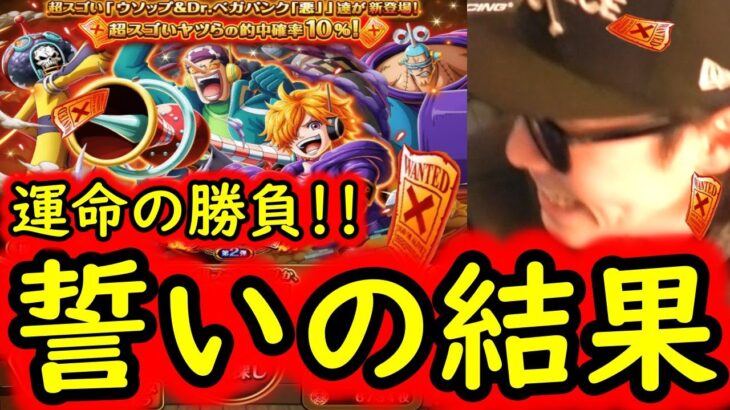 [トレクル]スゴフェス! あの誓いは吉と出るか凶と出るか…運命の厳選枠勝負の行方…[エッグヘッド第2弾][OPTC]