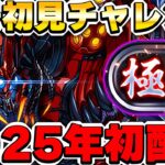 【あけおめ】2025年初配信！！裏極悪初見チャレンジ！！【パズドラ実況】