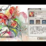 メメントモリ・ラメント（メリア）「ⅩⅢ,THE BUD」/鈴木紗弓　1時間耐久