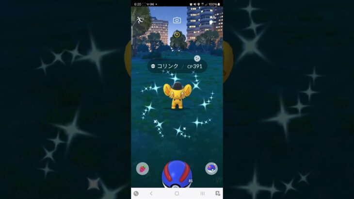 ポケモンGO　コリンク　シルクハット　色違い　今日の収穫はこれだけ