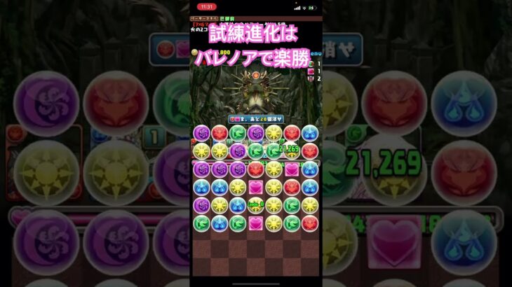 #パズドラバレノア　#パズドラ撫子　#パズドラ巴御前　#パズドラ巴御前試練進化　#パズドラバレノア