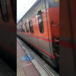 #ウマ娘プリティーダービー #vtuber #train #emuonair #歌ってみた #railway #emu 129#ppe1000 #自強號
