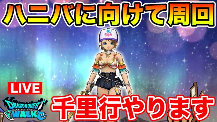【ドラクエウォーク】ハニバに向けてまた今日から千里頑張ります!!【DQW】