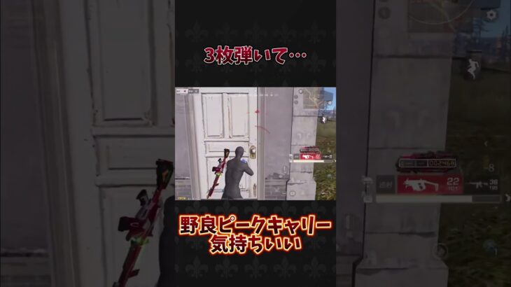 キャリー気持ちいい〜w#荒野行動 #knivesout #shorts