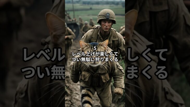 主夫勇者のドラクエウォーク戦士あるある６選！ #Shorts #猫 #ドラクエウォーク #あるある