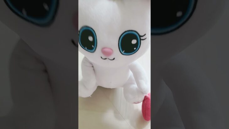 #ウマ娘プリティーダービー시카노코 한글 해석