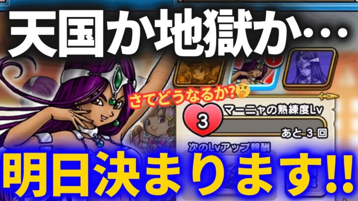 【ドラクエウォーク】天国か地獄か……明日決まります【導かれしパティシエたち】【自宅&布団ウォーカー勢】