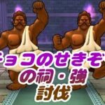 【ドラクエウォーク】チョコのせきぞうの祠・強　討伐