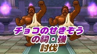 【ドラクエウォーク】チョコのせきぞうの祠・強　討伐